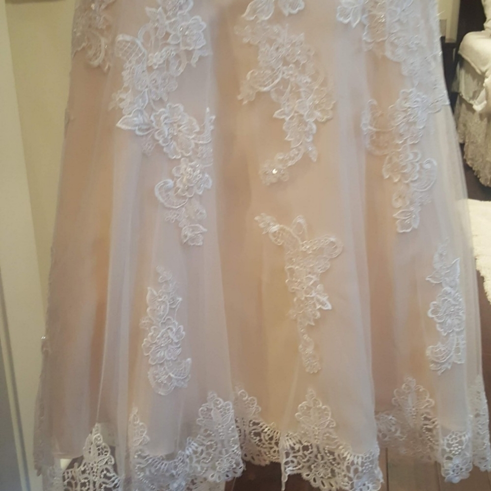Elegant Ivory Lace Wedding Dress - Picture 7 of 12